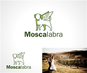 Logo Design by MOH Studio