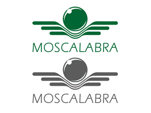 Logo Design by Dilan