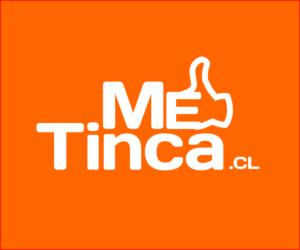 Logo Design by Luis Valin