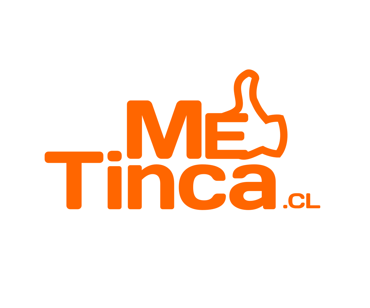 Logo-Design von Luis Valin für Multitienda Online MT Ltda. | Design #24718527