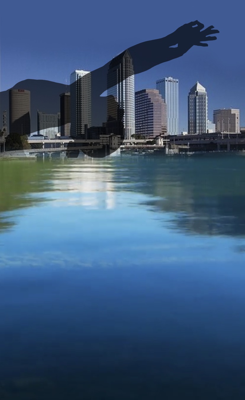 Photoshop Design by Carmel Designz for this project | Design #24676173