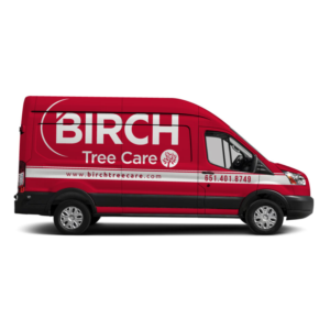 Car Wrap Design by Yoga Tri for Birch Tree Care | Design: #24685282