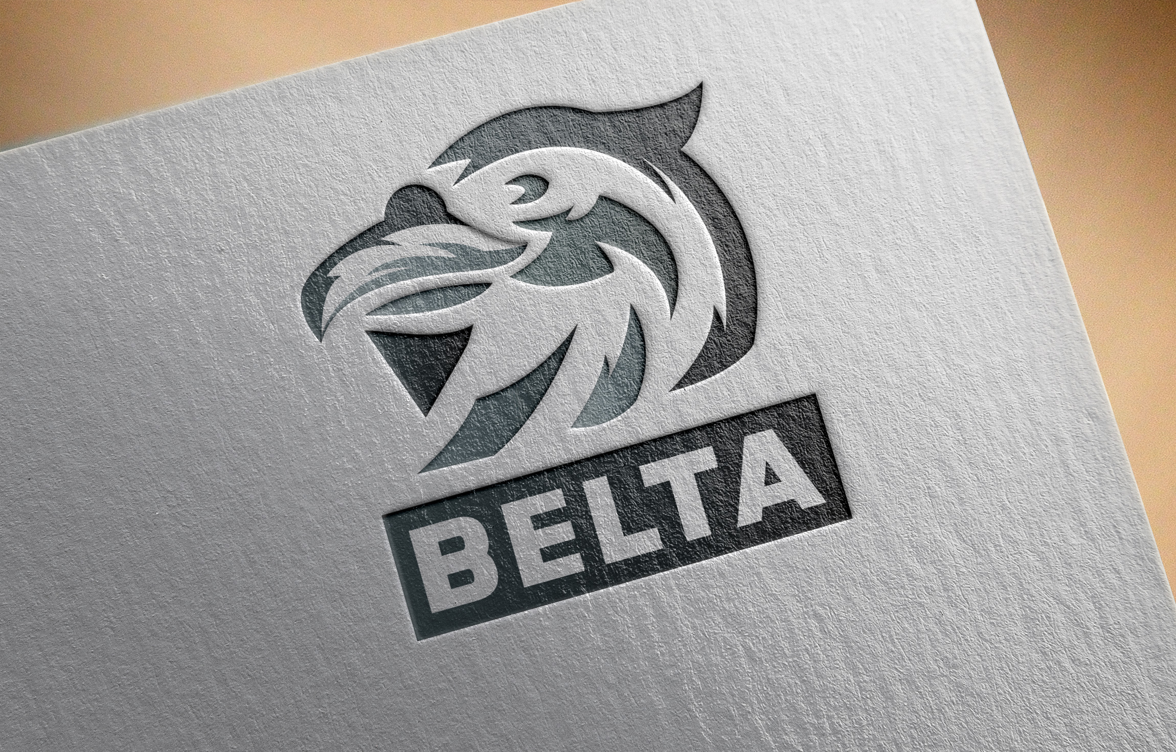 Logo Design by Shahzaman Khan for this project | Design #24697890