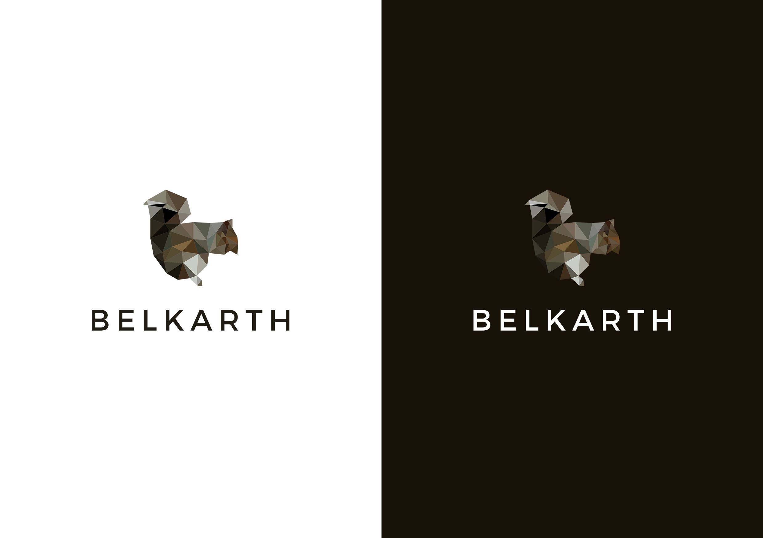 Design de Logo par christianpoetoe pour ce projet | Design #24692727