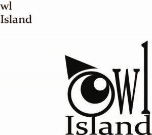 Logo Design by terri snyder