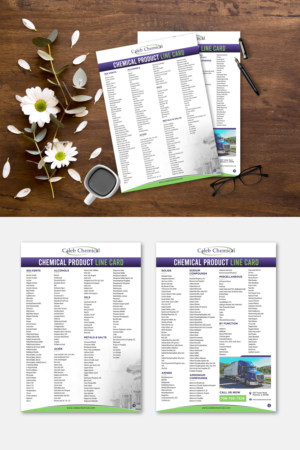 Flyer Design by debdesign for this project | Design: #24695013