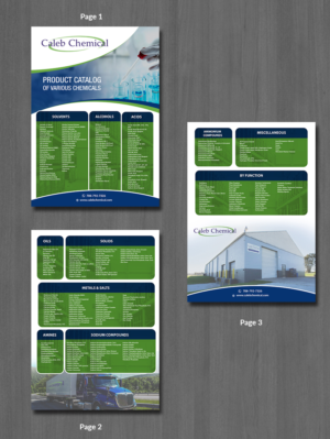 Flyer Design by innovative earth for this project | Design: #24694749