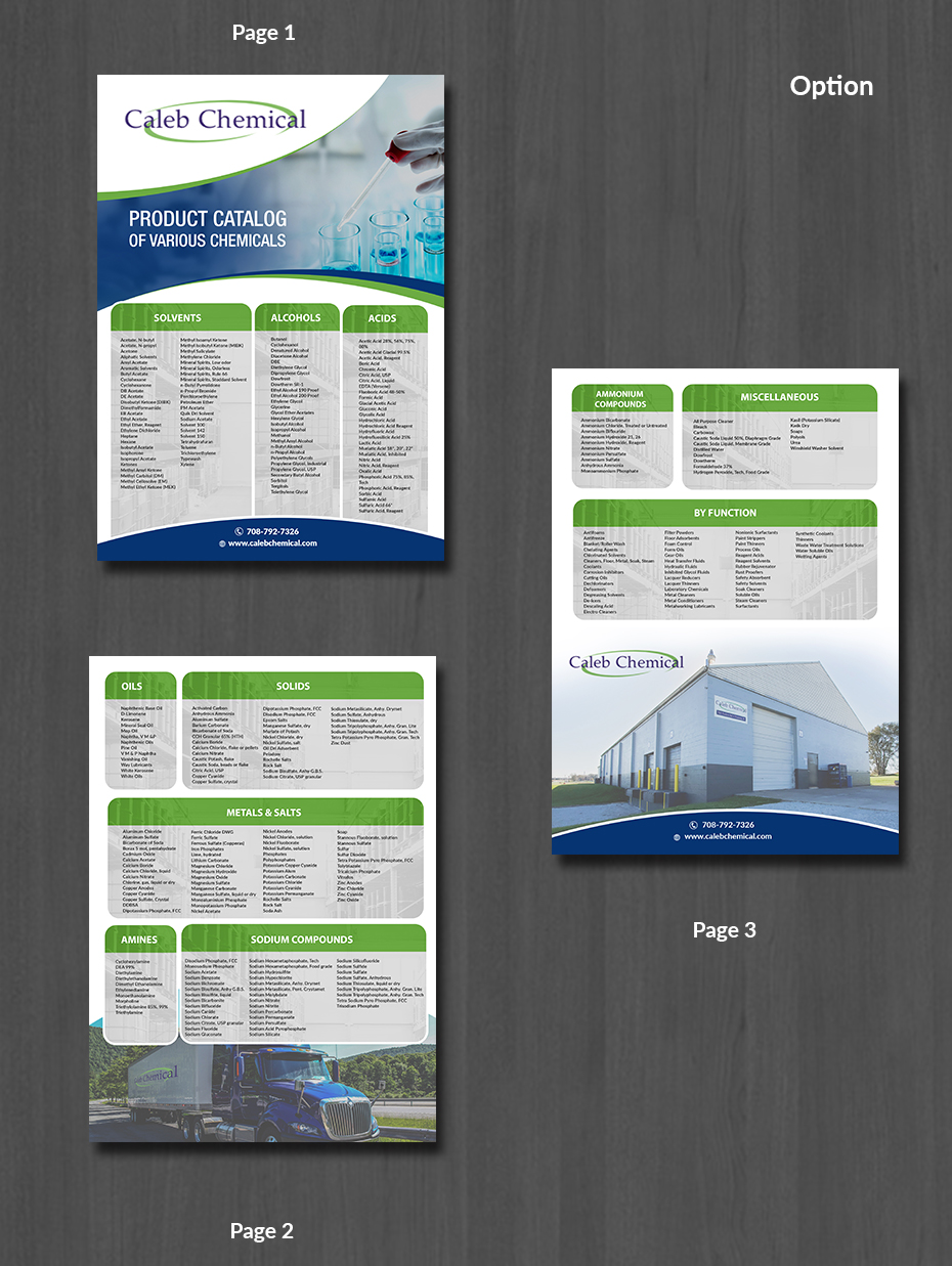 Flyer Design by innovative earth for this project | Design #24694847