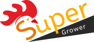 Logo Design by krishnamurthy 2
