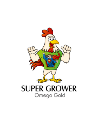 Logo Design by Dylan H