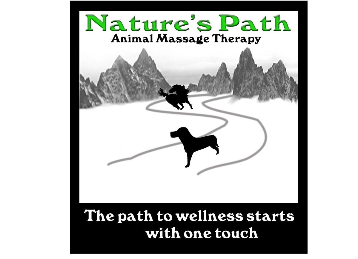 Logo Design by Triple22A for this project | Design #3016194