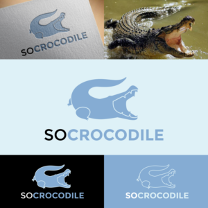 Logo Design by ileanalp for this project | Design #24714183