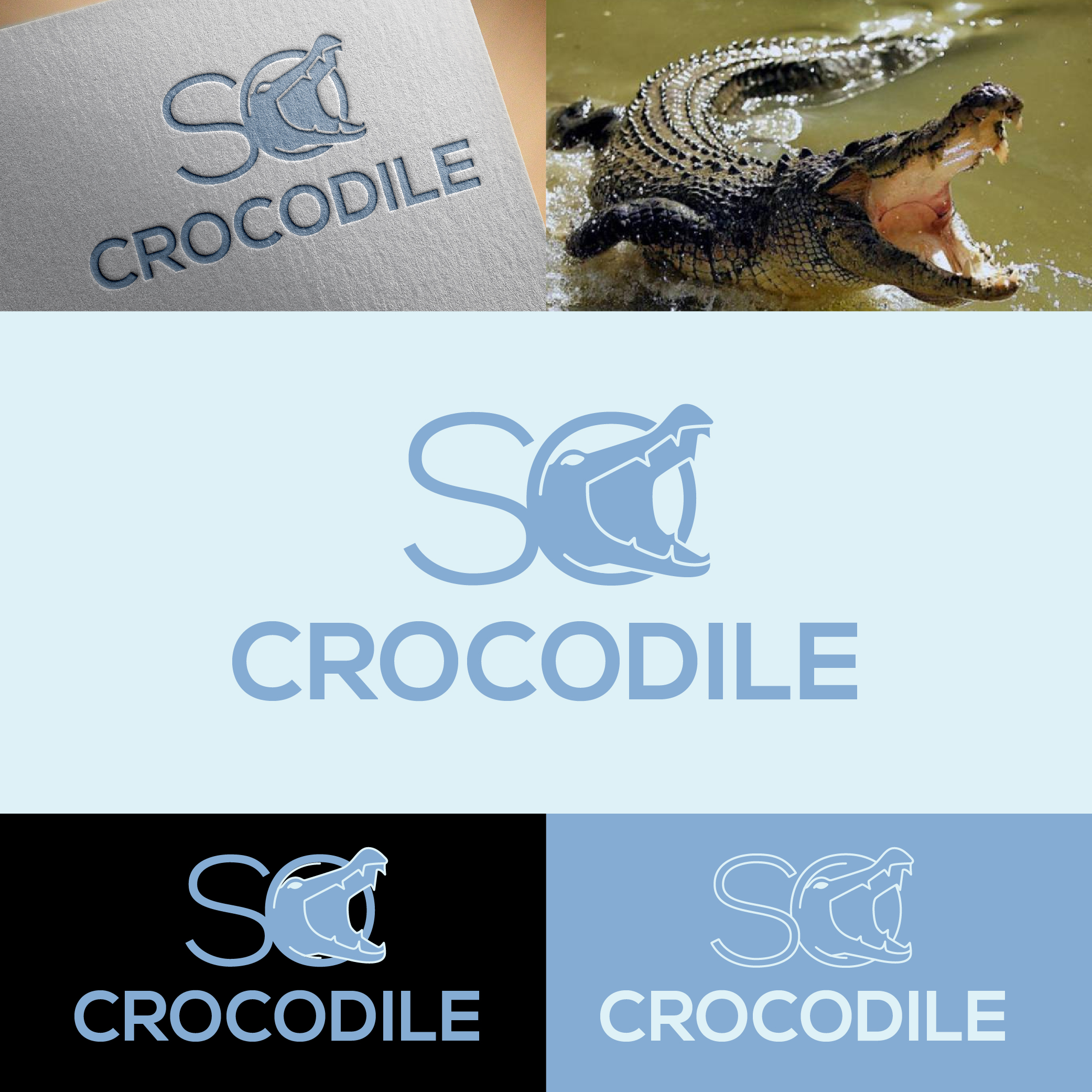 Diseño de Logo por ileanalp para este proyecto | Diseño #24714237