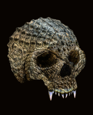 Alcohol brand needs new illustration