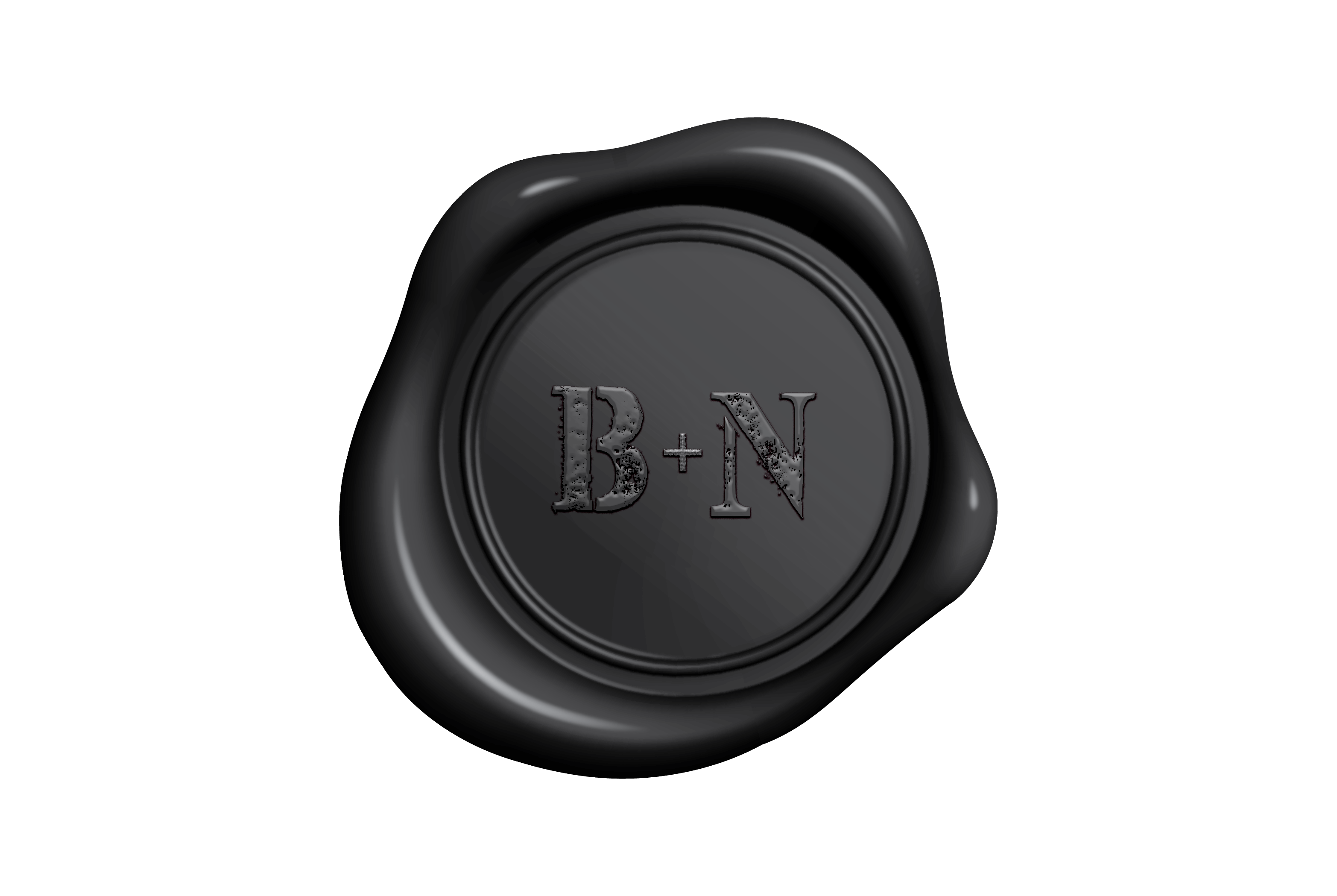 Logo Design by KPN 2 for Blanc + Nero  | Design #24761239