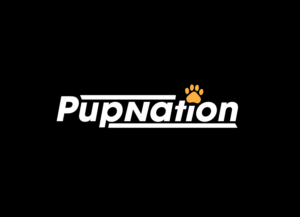 Logo Design by Amirpraboe