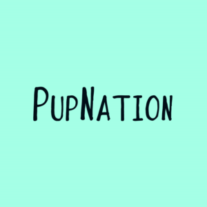 Logo Design by Rajika97