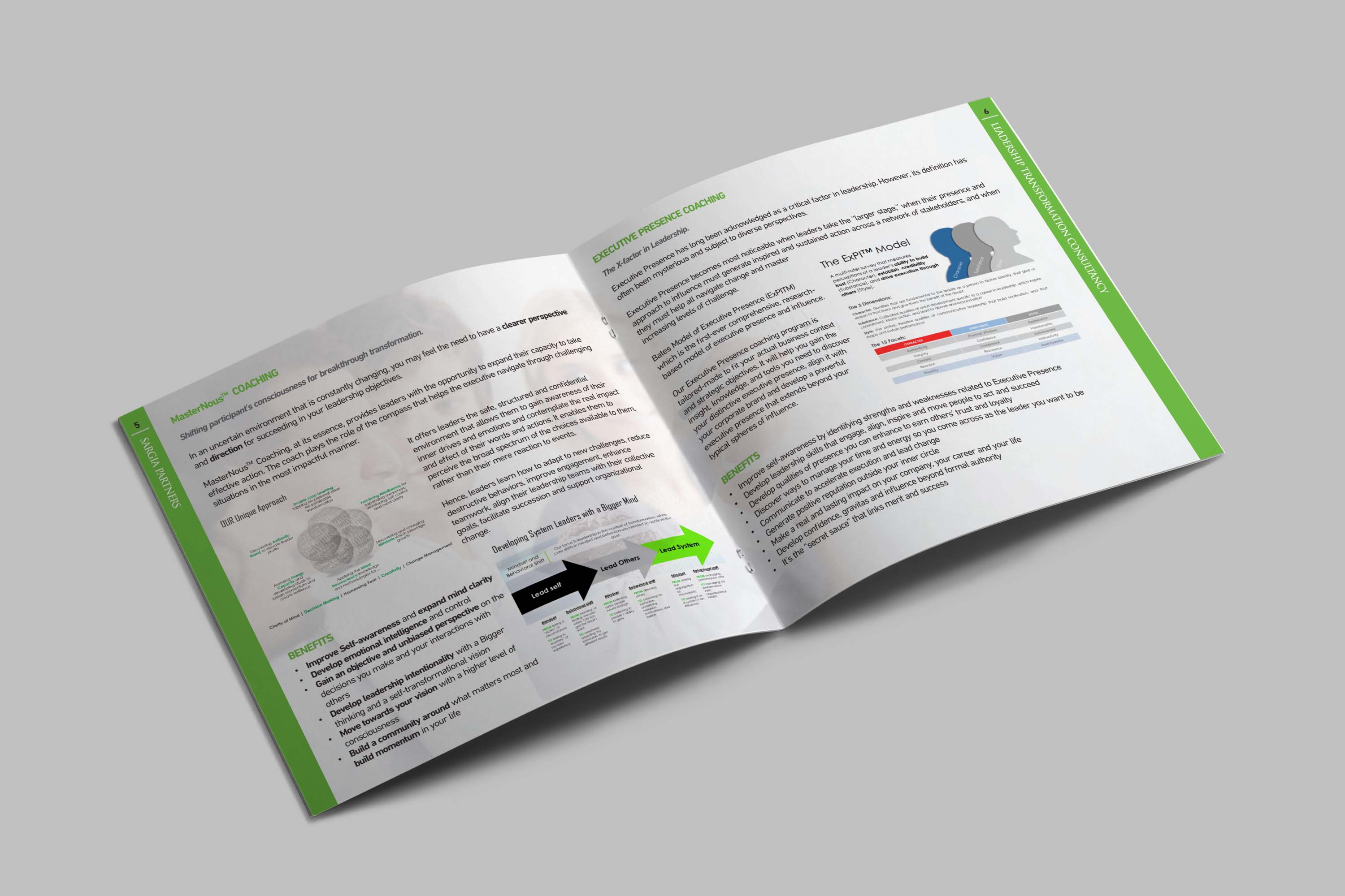 Brochure Design by lookedaeng for CEO CLUBS GREECE | Design #24742242