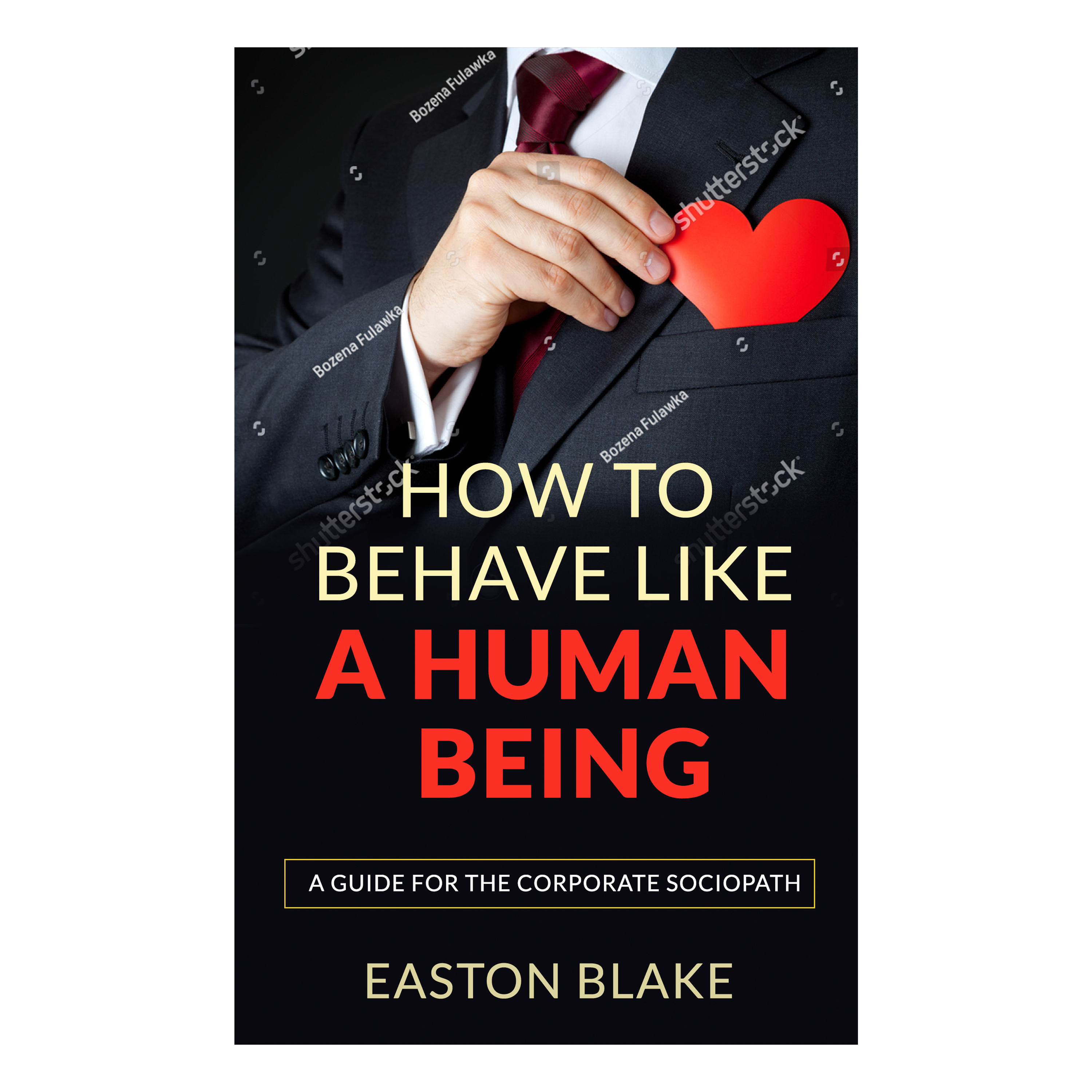 eBook Cover Design by Azmat for this project | Design #24772121