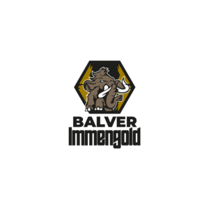 Logo Design by nadbook2323