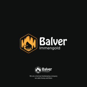 Logo Design by MAHARAJA Designs