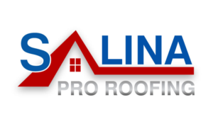 Logo Design by Kadwin for SALINA CONTRACTING LTD | Design #24777614