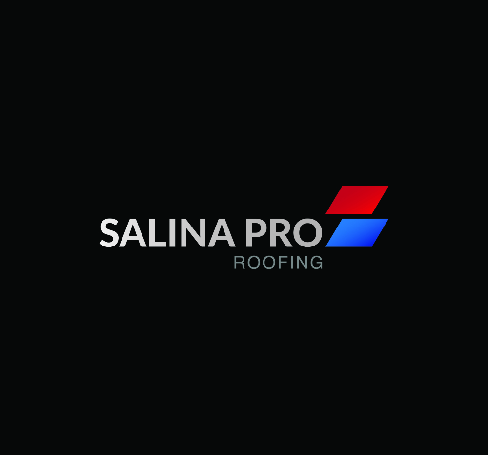 Logo Design by Filo F for SALINA CONTRACTING LTD | Design #24730782