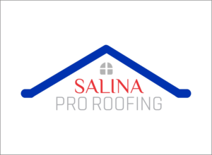 Diseño de Logo por macwanronald2870 2 para SALINA CONTRACTING LTD | Diseño: #24753301