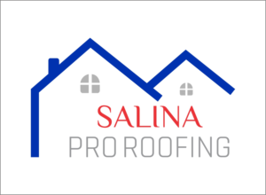 Diseño de Logo por macwanronald2870 2 para SALINA CONTRACTING LTD | Diseño: #24753302