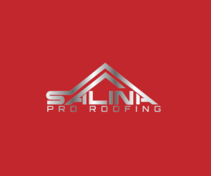 Logo Design by AinebAyoub for SALINA CONTRACTING LTD | Design: #24783198