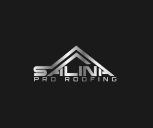 Logo Design by AinebAyoub for SALINA CONTRACTING LTD | Design: #24783202