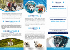 Design de Brochure par SAI DESIGNS pour ce projet | Design : #24932541