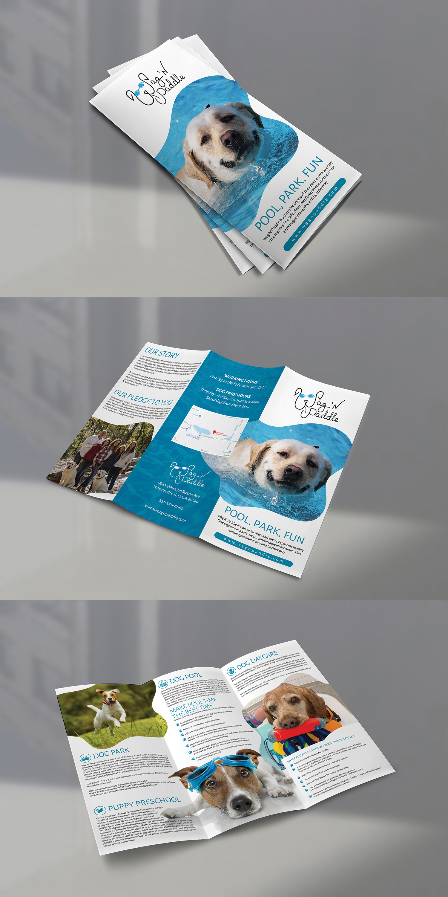 Broschüren-Design von BLUE WINGS für dieses Projekt | Design #24746836