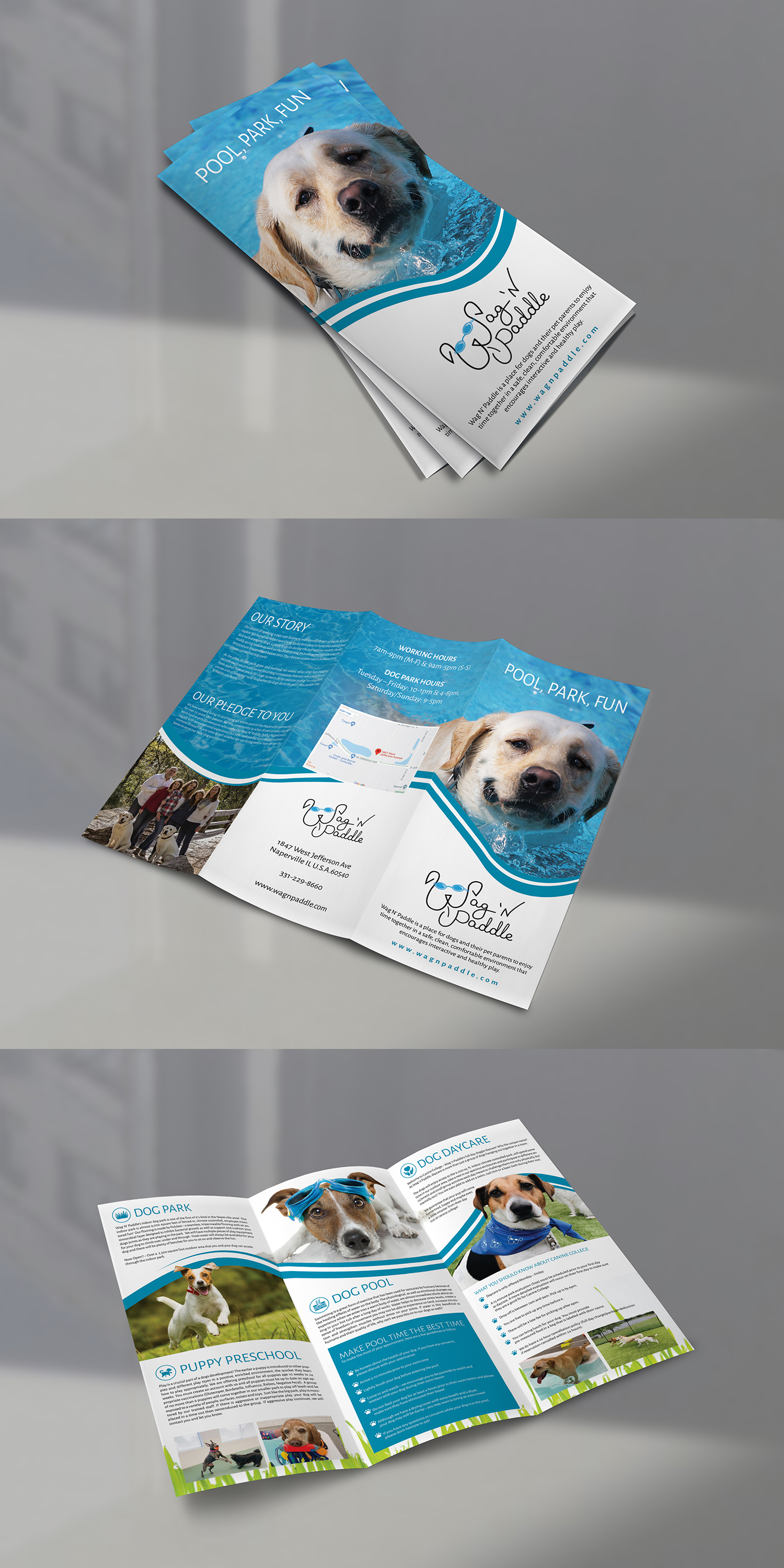 Brochure Design by BLUE WINGS for this project | Design #24747955