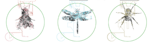 Vector Design by TAdesign