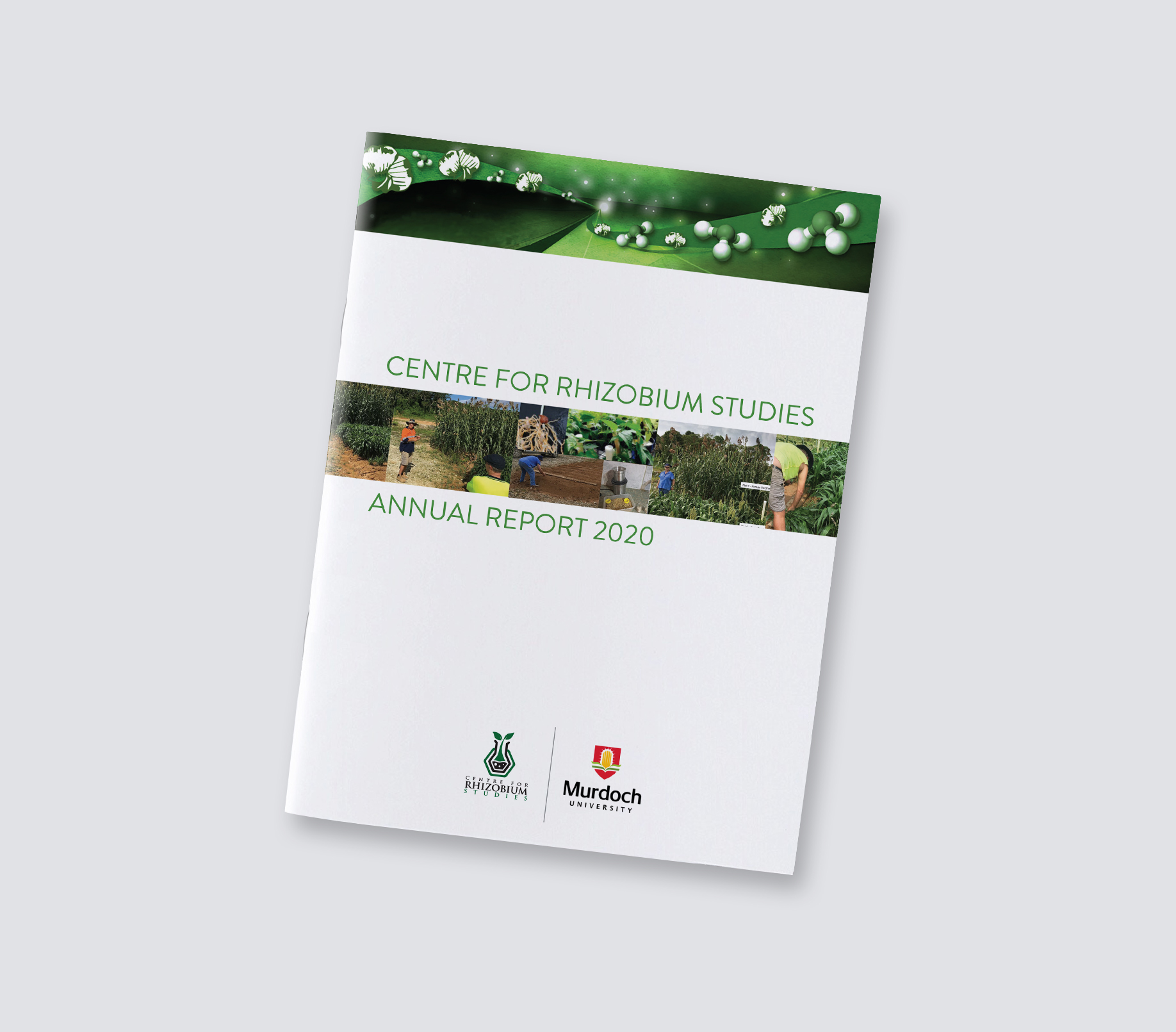 Diseño de Revista por andrew3344 para este proyecto | Diseño #24762705