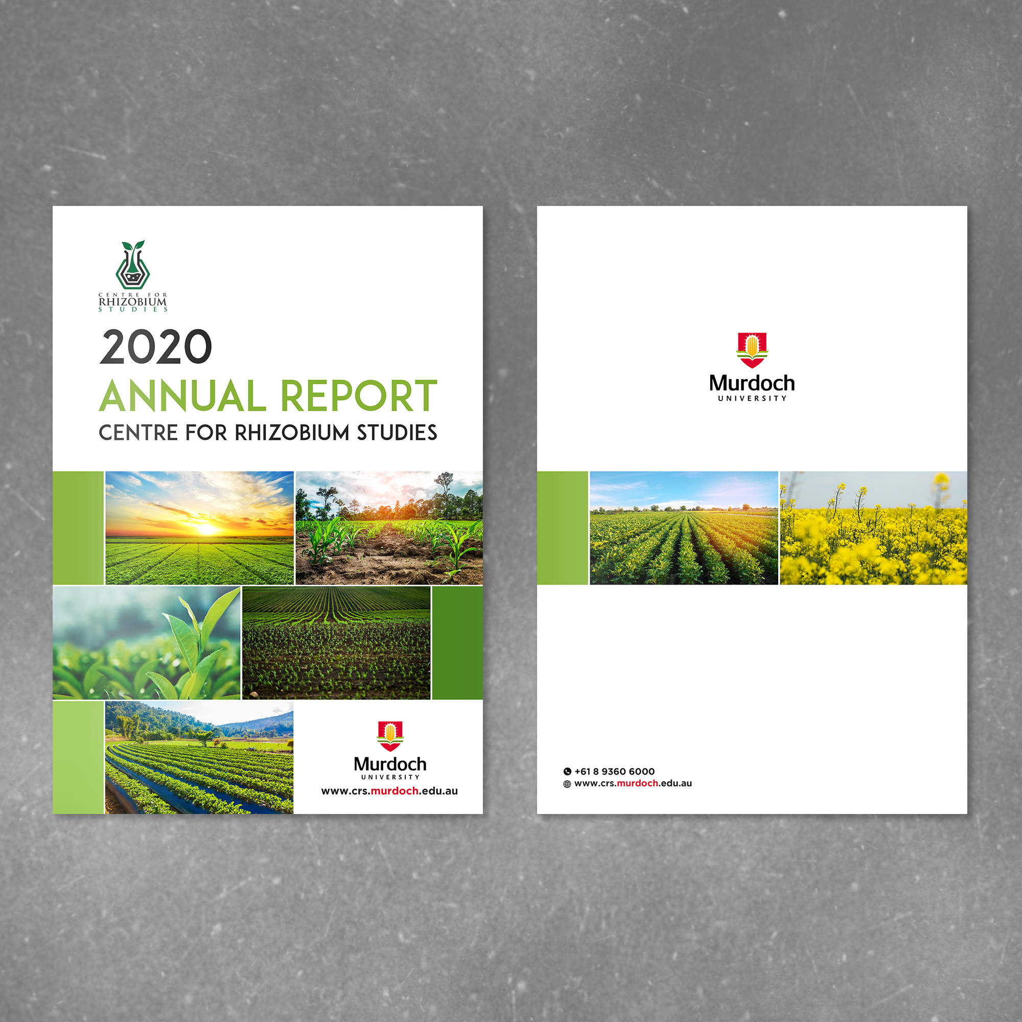 Diseño de Revista por debdesign para este proyecto | Diseño #24746506