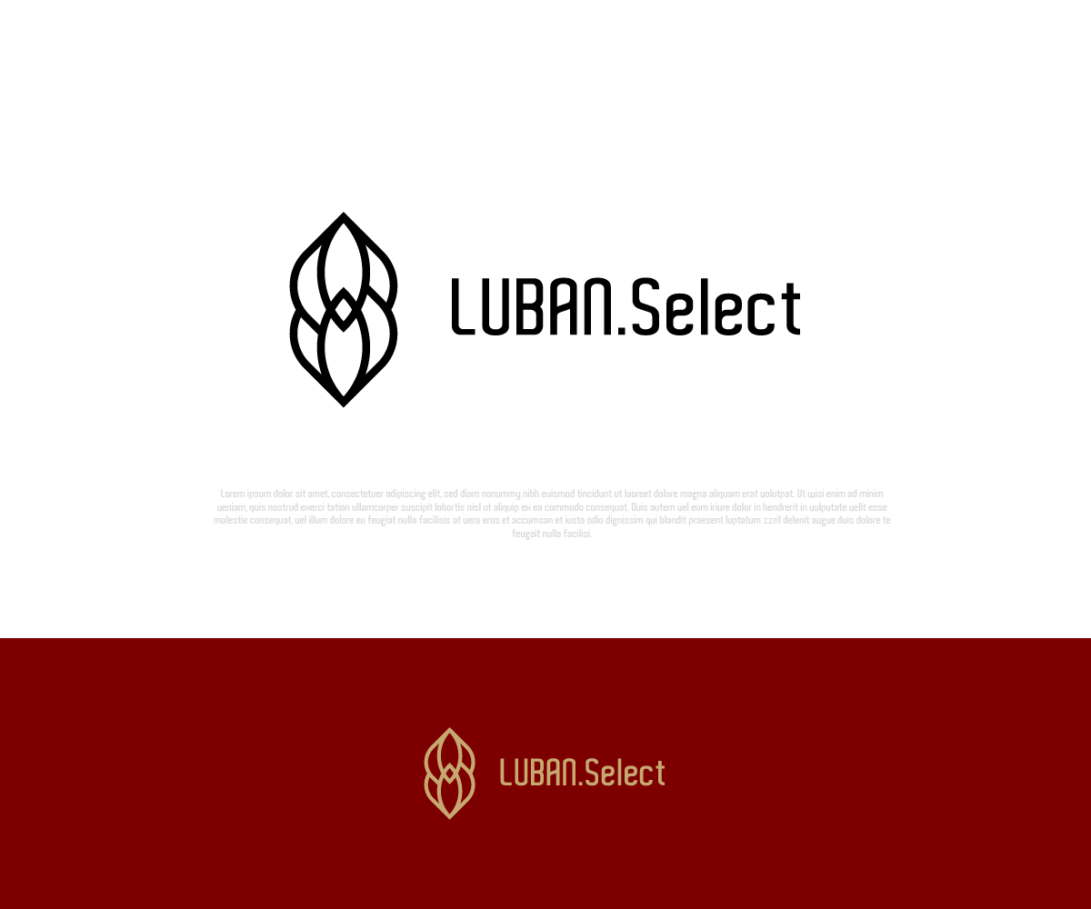 Logo Design by Ng V Duc for this project | Design #24733014