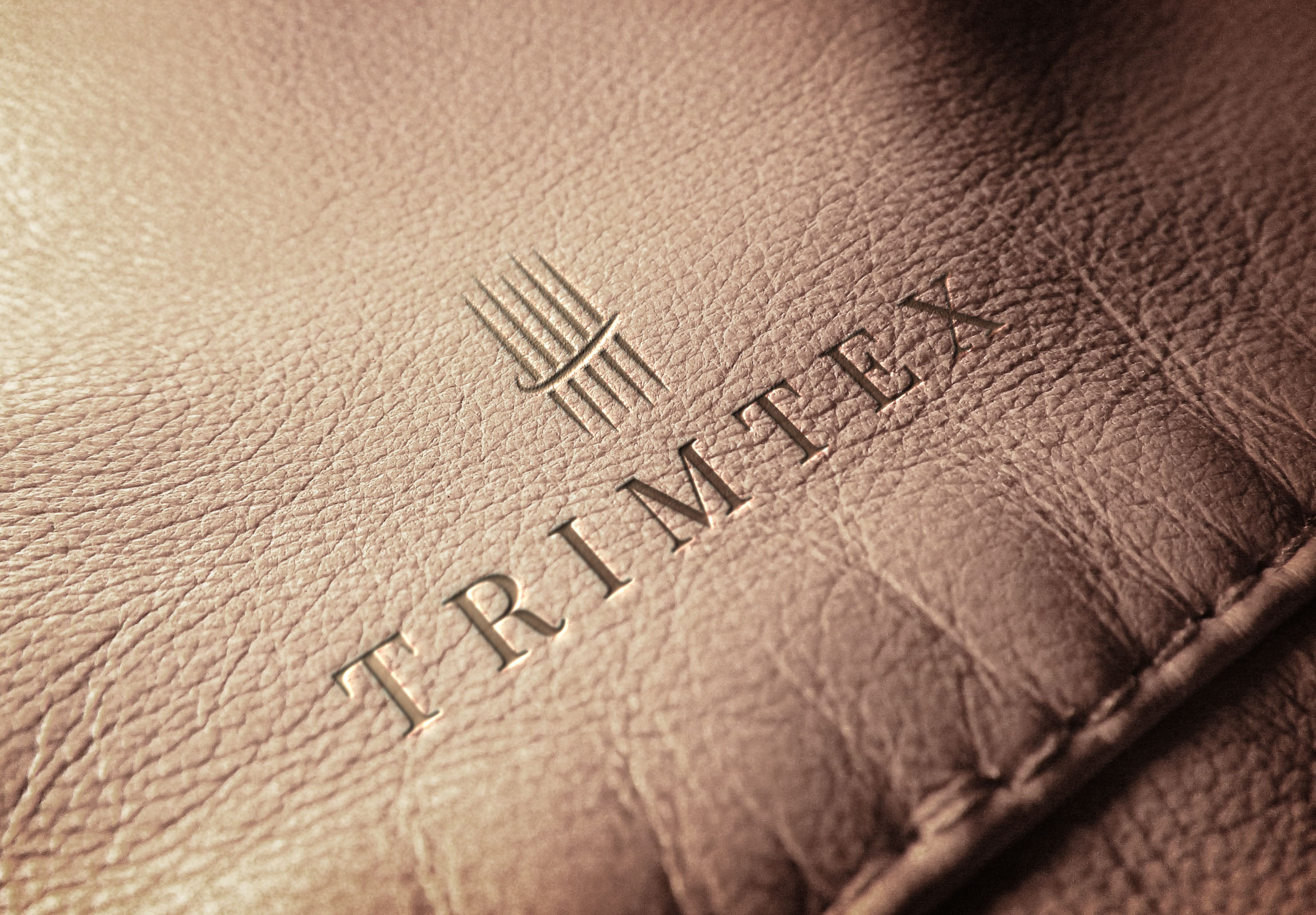 Logo Design by ahad.mifta for Trimtex | Design #24786465