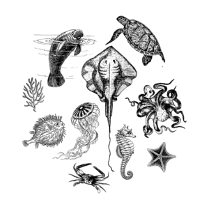 Tattoo-Design von Arun 25 für dieses Projekt | Design: #24778216
