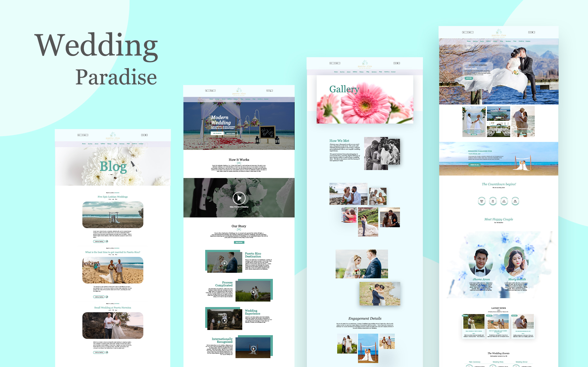 Web Design par AR IT FIRM pour Puerto Rico Destination Weddings | Design #24786122