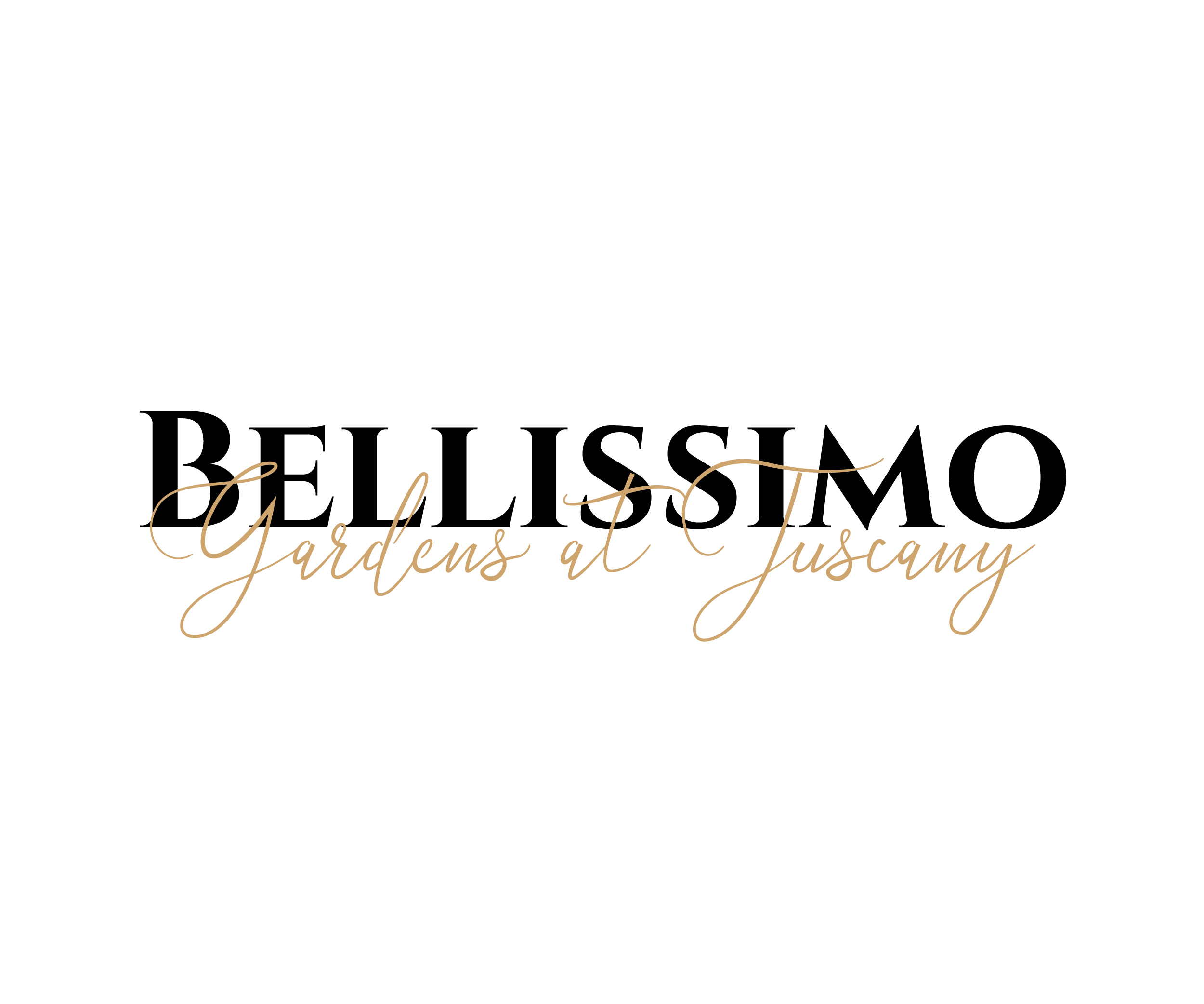Logo Design by joshsel3 for this project | Design #24745512