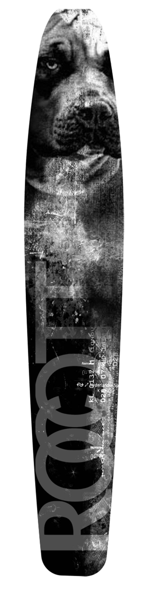 Graphic Design by James Sylvester for Rocott  | Design: #3062928