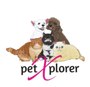 Illustration-Design von potoko für Square One Enterprises | Design #24794129