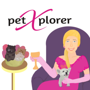 Illustration Design by marijana89bg for Square One Enterprises | Design: #24758860