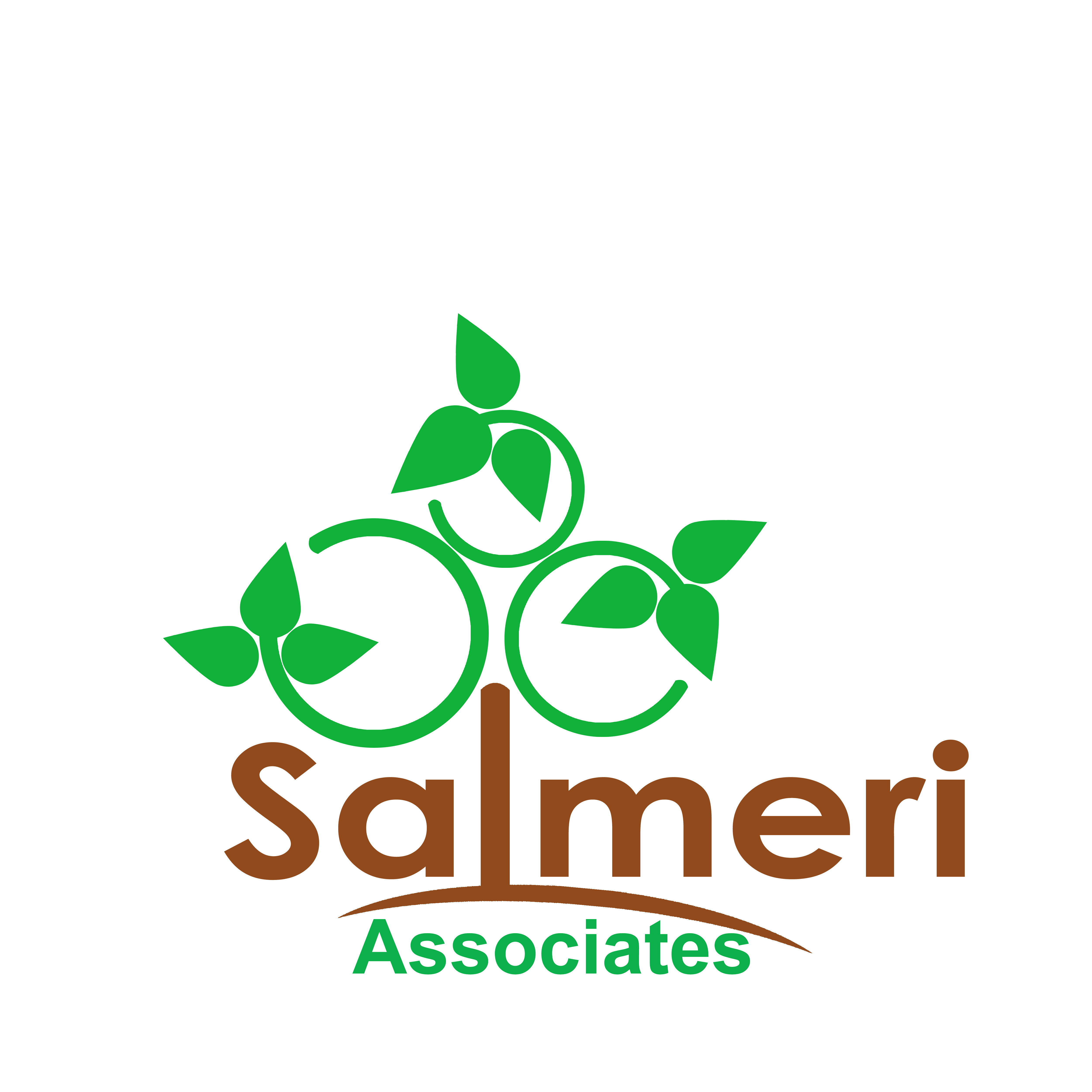 Diseño de Tarjeta de Presentación por RAHUL M RAJAN para Salmeri & Associates | Diseño #24766096