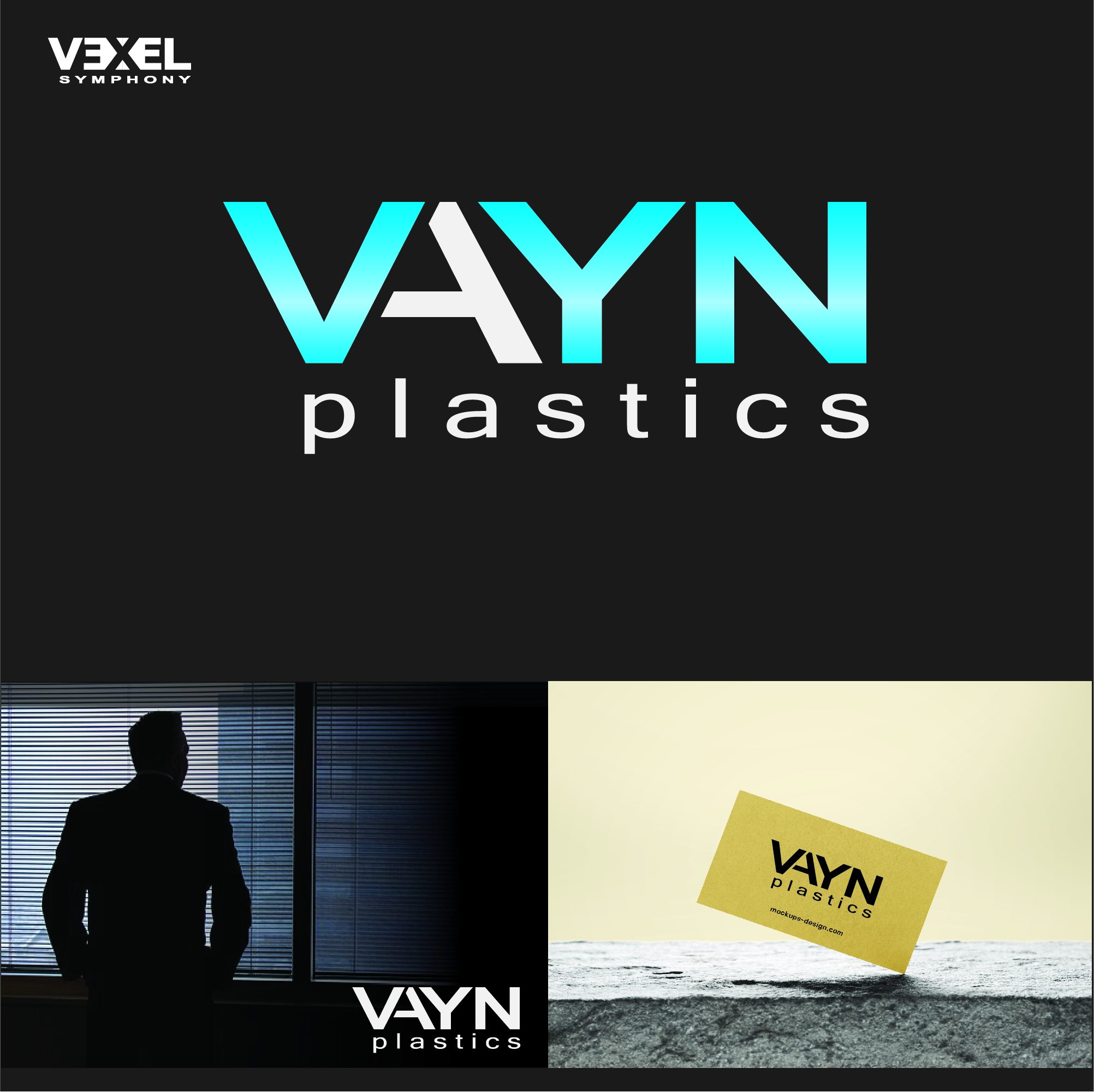Logo Design by vexel Symphony for Vayn Plastics  | Design #24799442