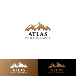 Logo Design by anshtoyj for this project | Design: #24763303