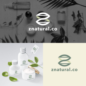 znature.co | Logo Design by simple mind