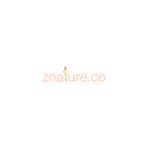 Logo Design by 88astudio